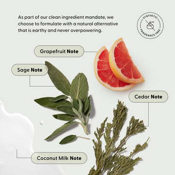 Fragrance notes infographic for Arey Shower Duo Refill Pouches showing natural scent ingredients: grapefruit slice, sage leaves, cedar branches, and coconut milk drop. Labeled Grapefruit Note, Sage Note, Cedar Note, Coconut Milk Note. Badge: Synthetic Fragrance Free. Text reads: As part of our clean ingredient mandate, we choose to formulate with a natural alternative that is earthy and never overpowering.