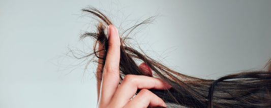 Girl holding up split ends