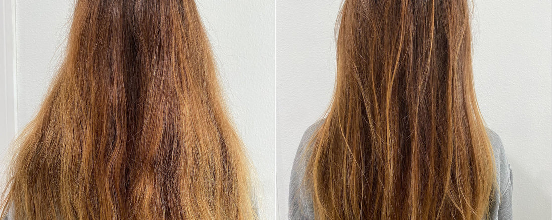 Arey Hair Health Transformations – Real People, Real Results