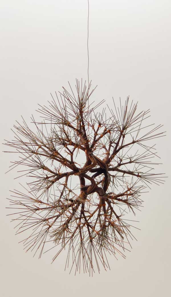 Pandemic roots & what we can do to support our hair health