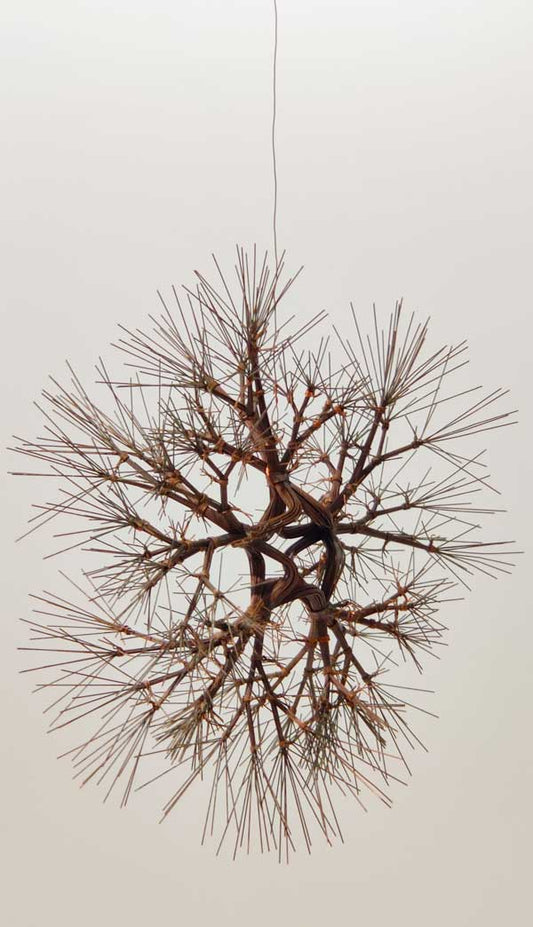 Pandemic roots & what we can do to support our hair health