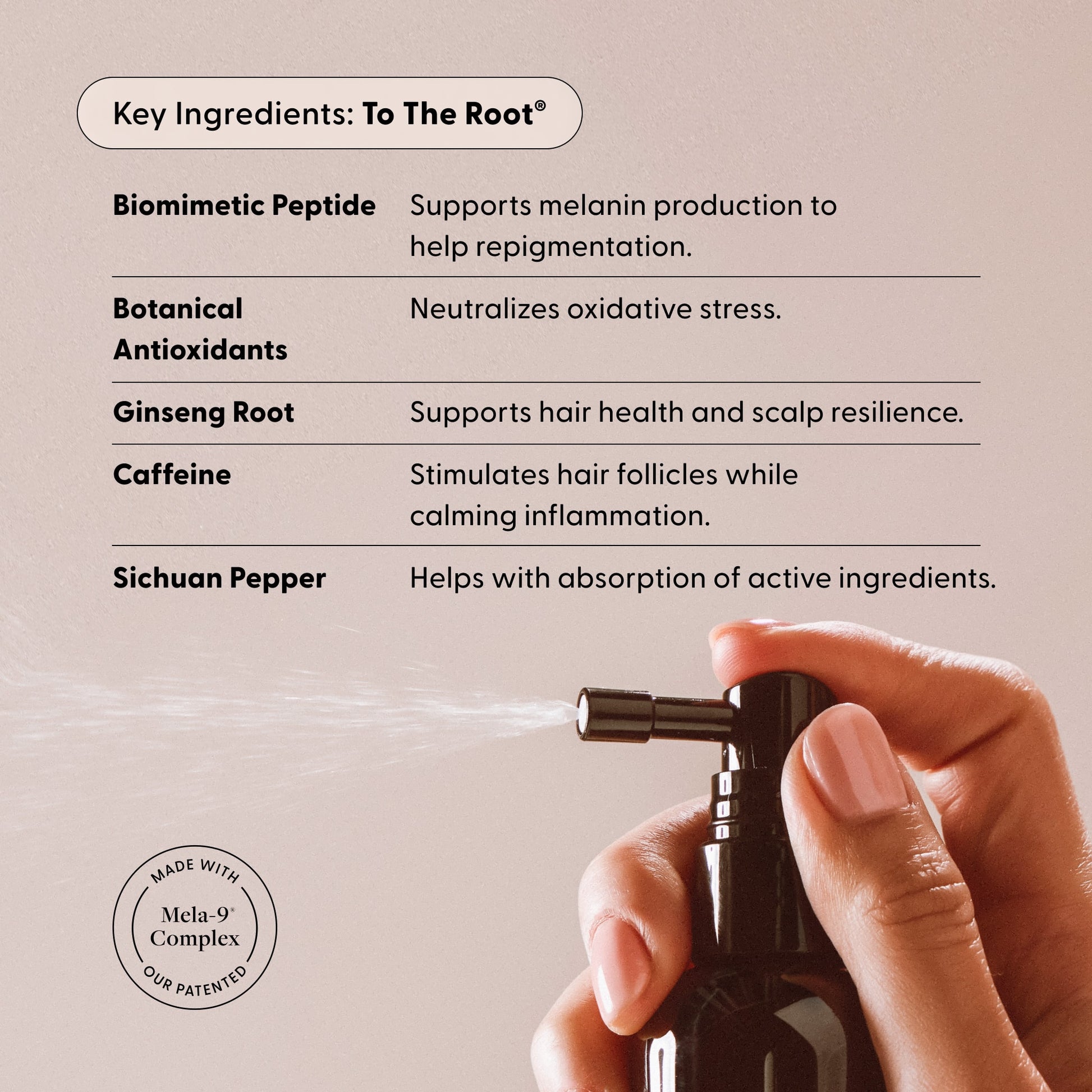 A hand sprays a black bottle of The AM to PM Duo by Arey. On screen, text highlights key ingredients—biomimetic peptide, botanical antioxidants, ginseng root, caffeine, and Sichuan pepper—each chosen for their benefits to hair and scalp, helping to reverse grey hair while promoting thicker, fuller strands.