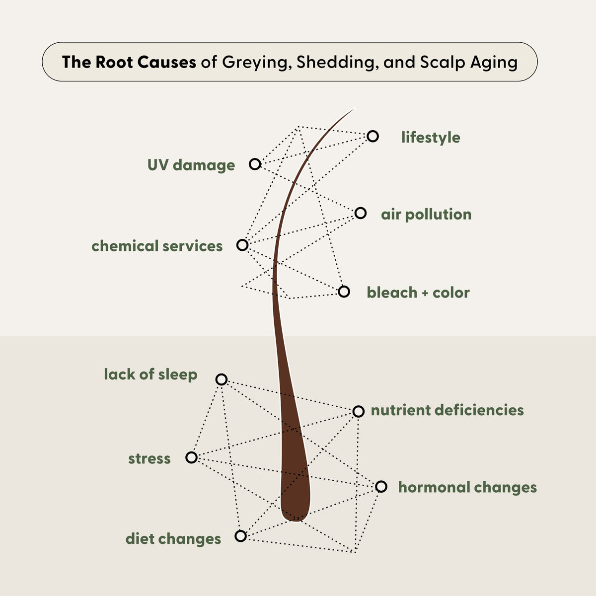 Diagram of a hair strand with dotted lines connecting it to labels: lifestyle, air pollution, bleach + color, hormonal changes, nutrient deficiencies, stress, lack of sleep, diet changes, chemical services, UV damage. Regular use of a deep conditioner or Arey’s The Deep Treatment Duo can help nourish your hair and may delay greys caused by these everyday stressors.