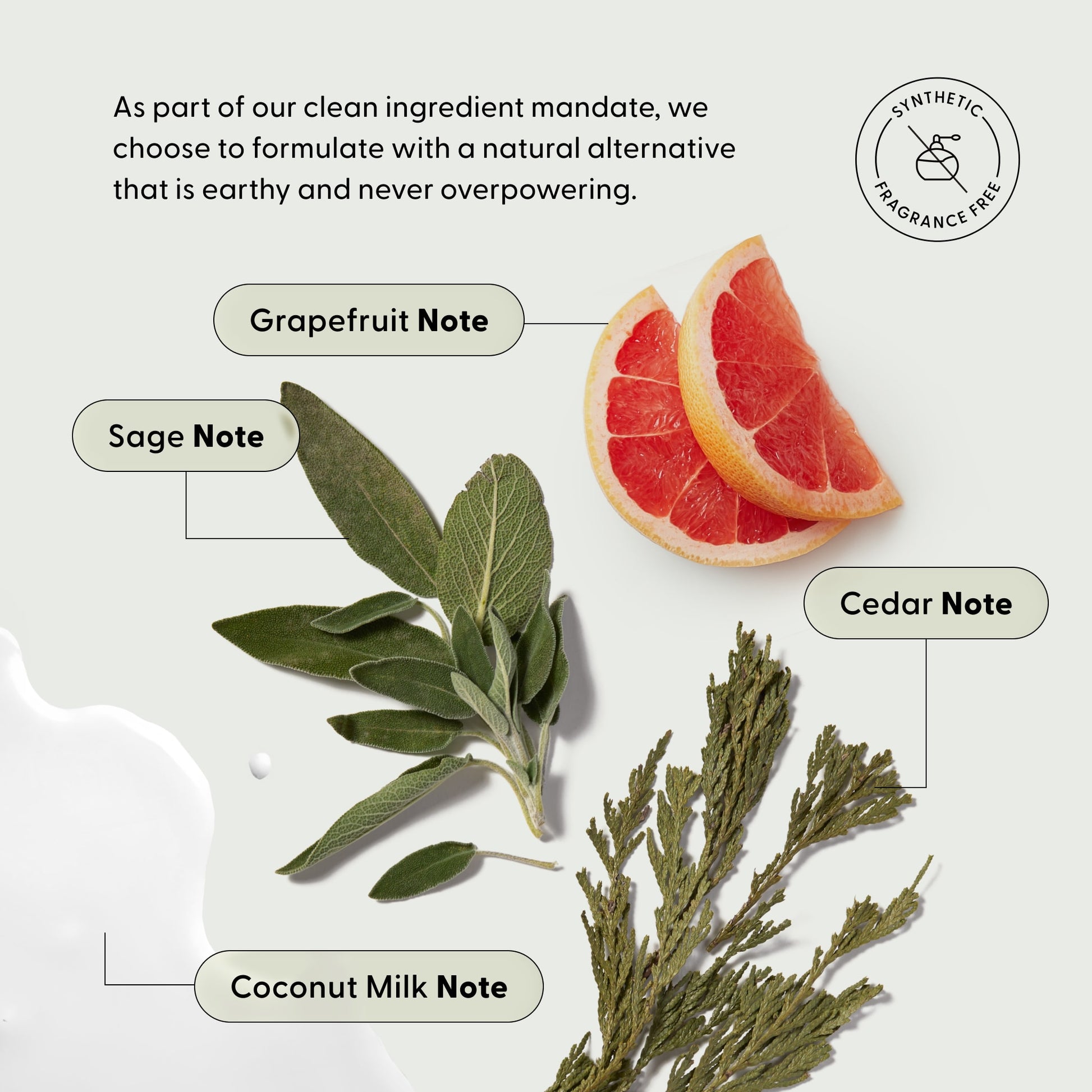 Scent notes infographic for Arey Deep Treatment Duo hair care products. Badge reads 'Synthetic Fragrance Free.' Text: 'As part of our clean ingredient mandate, we choose to formulate with a natural alternative that is earthy and never overpowering.' Botanical notes labeled: Grapefruit Note, Sage Note, Cedar Note, Coconut Milk Note.