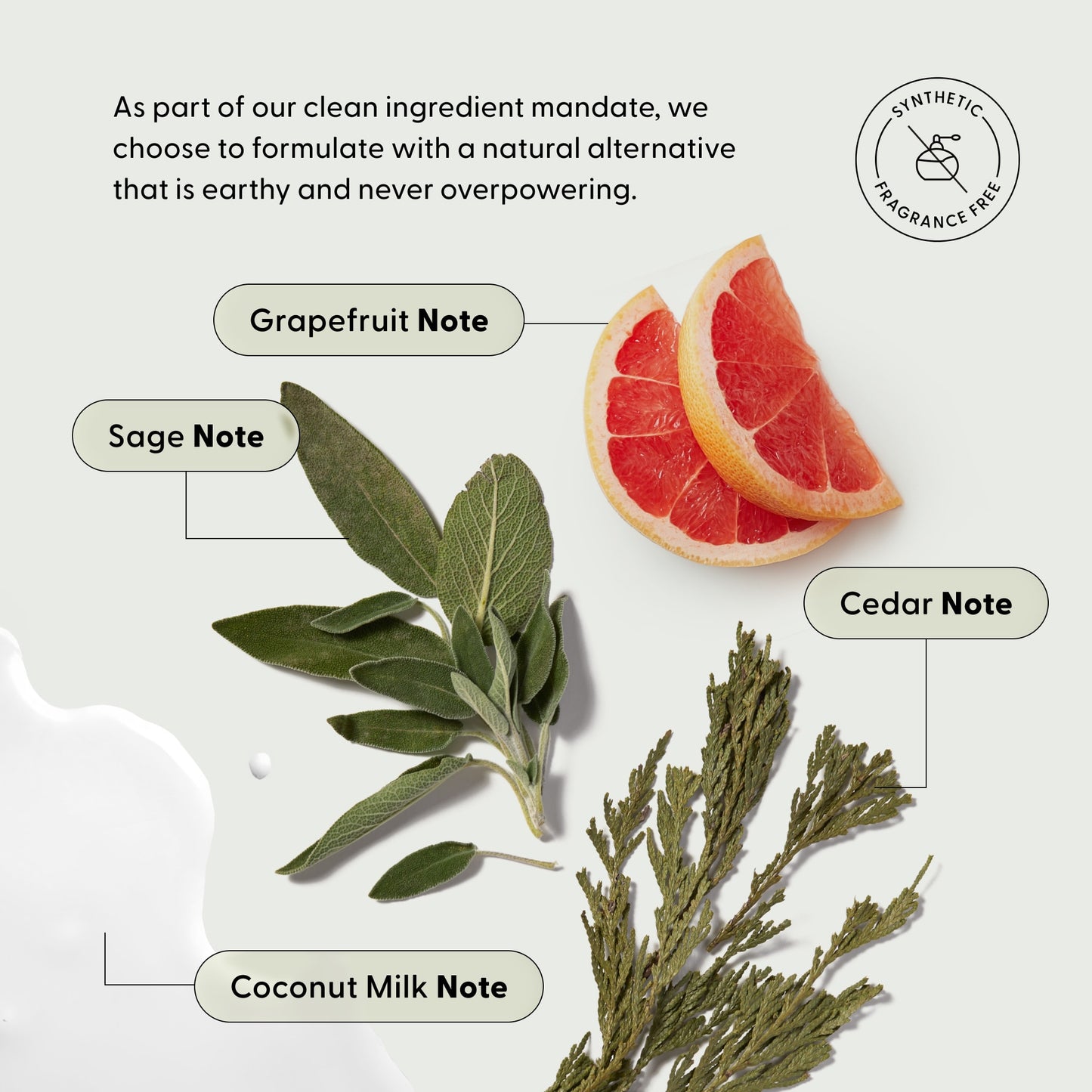 Scent notes infographic for Arey Deep Treatment Duo hair care products. Badge reads 'Synthetic Fragrance Free.' Text: 'As part of our clean ingredient mandate, we choose to formulate with a natural alternative that is earthy and never overpowering.' Botanical notes labeled: Grapefruit Note, Sage Note, Cedar Note, Coconut Milk Note.