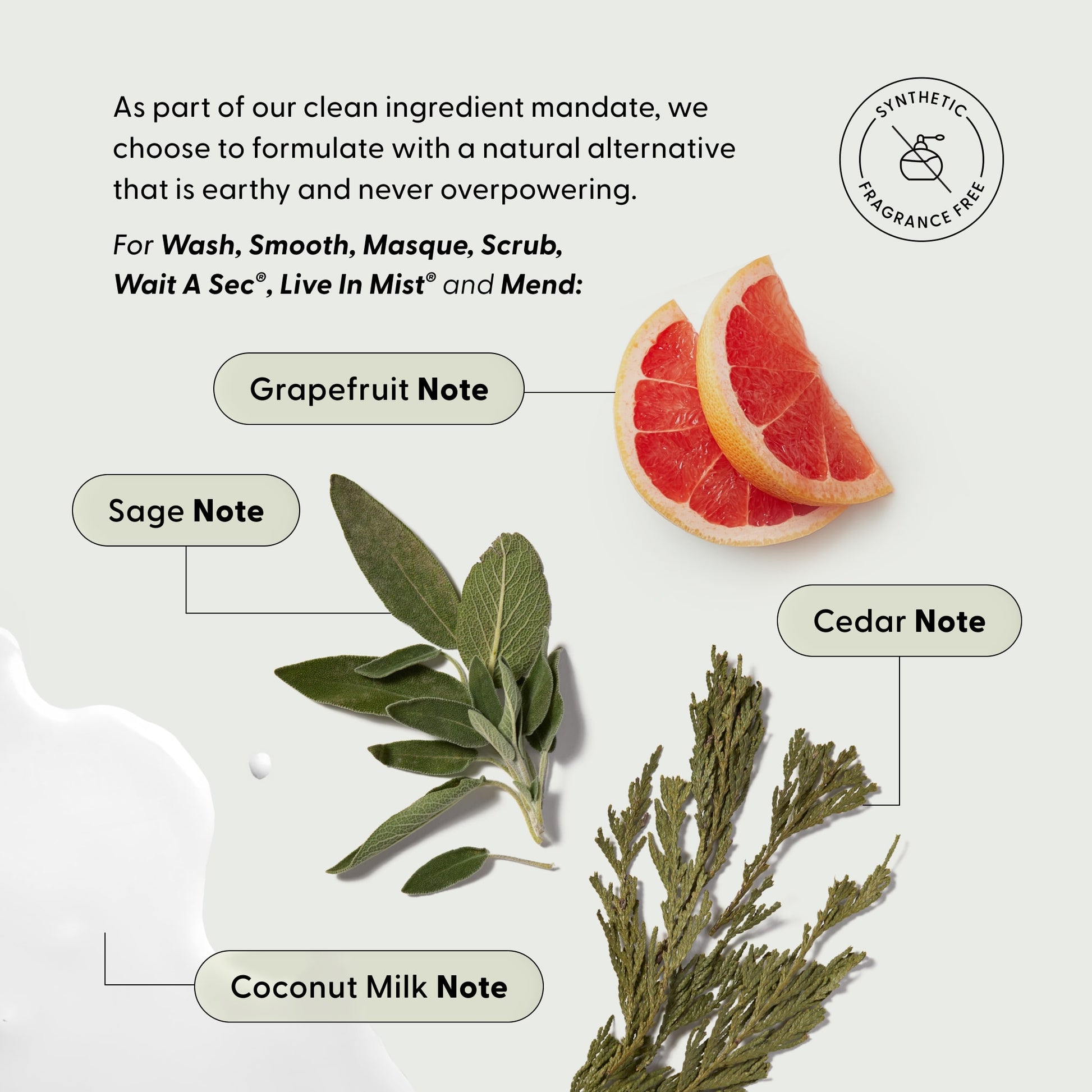 A flat lay of grapefruit slices, sage leaves, coconut milk, and cedar sprigs—each labeled as a fragrance note in The Full Arey by Arey. Text highlights a clean ingredient mandate, emphasizes that it’s free from synthetic fragrances, and notes it is carefully crafted to support repigmentation and help slow the appearance of new greys for naturally thicker, fuller hair.