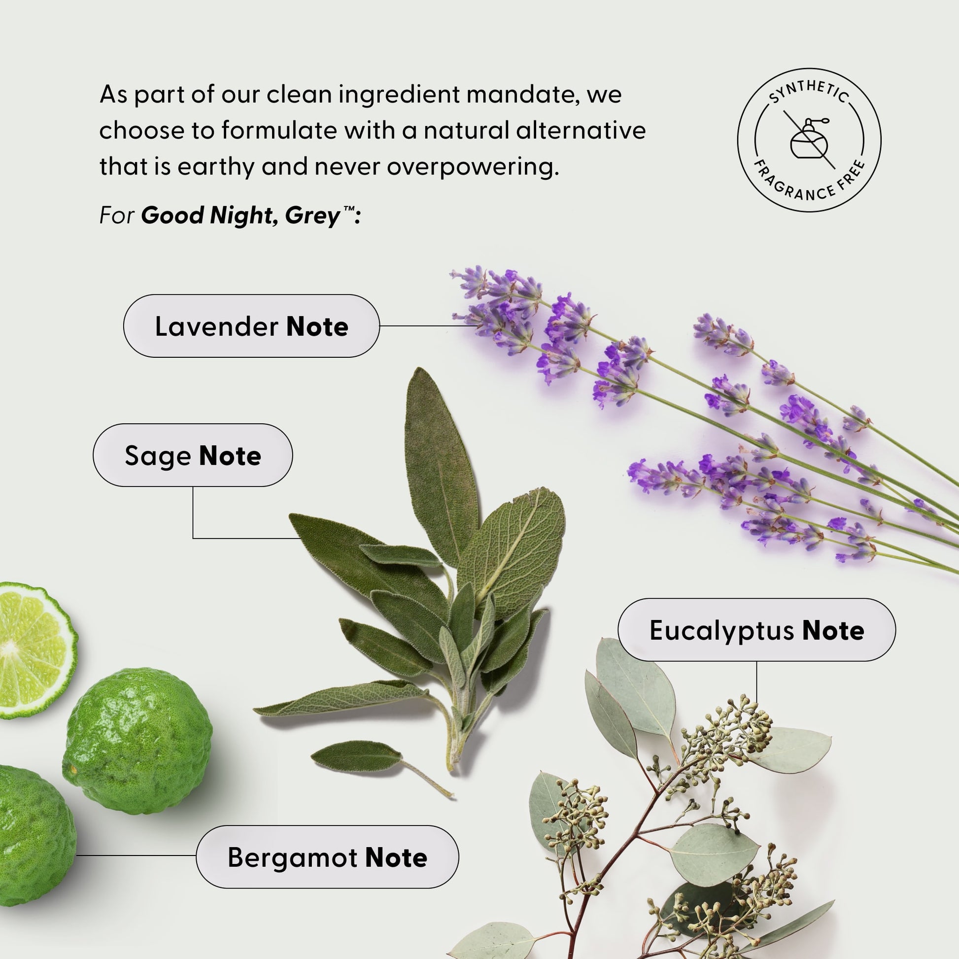 Arey The Full Arey features notes of lavender, sage, eucalyptus, and bergamot on descriptive labels set against a clean white background. The packaging highlights its use of a clean-ingredient fragrance formula that supports repigmentation for thicker, fuller hair while helping to slow the appearance of new greys. Text emphasizes natural, non-overpowering alternatives, and a “synthetic fragrance free” icon is included.