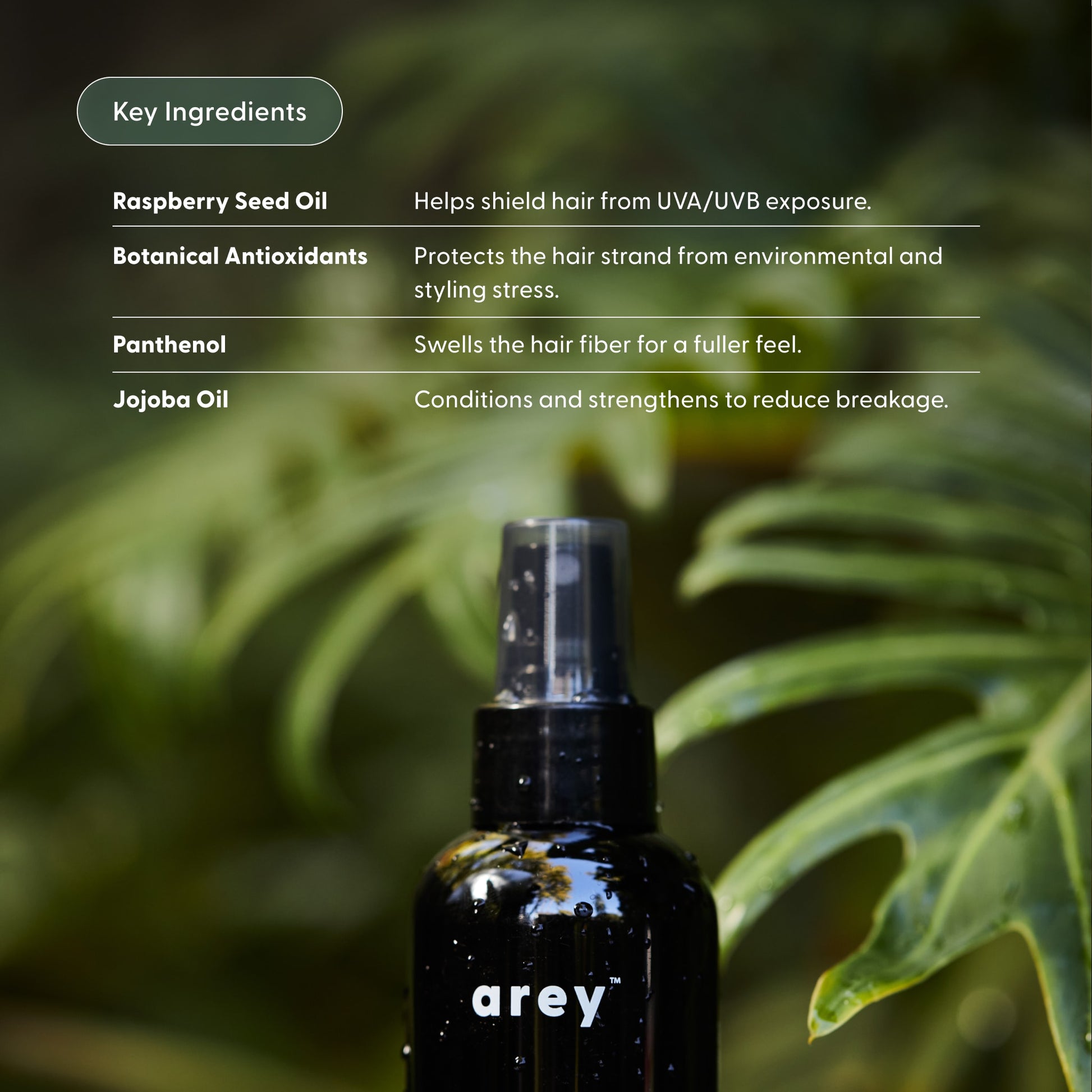 Bottle of 'arey' hair product with key ingredients listed on a green leaf background