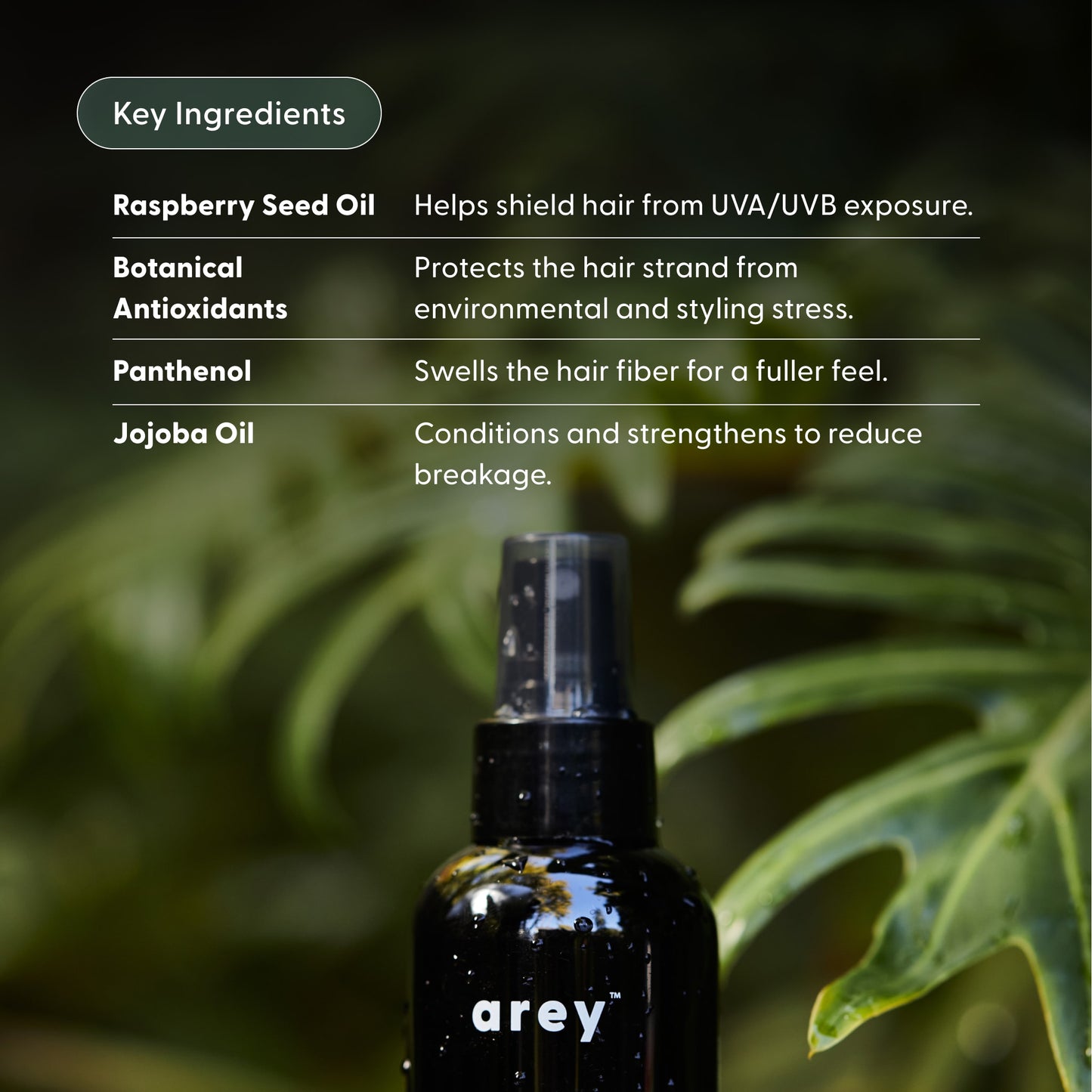 A black spray bottle labeled Arey’s Live In Mist Leave-In Conditioner sits in front of green leaves. Text beside it highlights key haircare ingredients and their benefits, including raspberry seed oil for natural UV protection, antioxidants, panthenol, and jojoba oil—all expertly blended into this nourishing leave-in conditioner.