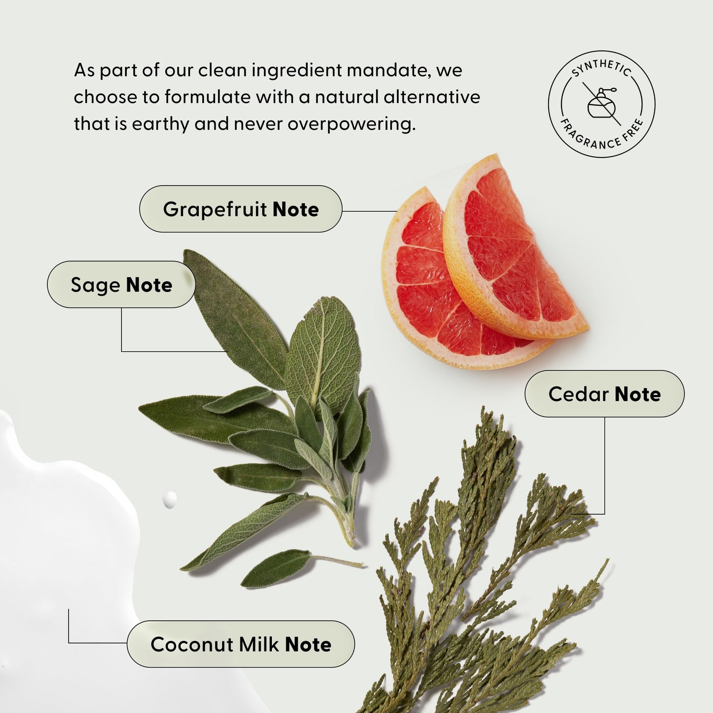 Arey’s Live In Mist Leave-In Conditioner features four natural ingredients—grapefruit slices, sage leaves, cedar sprigs, and coconut milk—showcased prominently on the label. A synthetic fragrance free icon highlights the brand’s commitment to clean ingredients and earthy, non-overpowering scents. Infused with Raspberry Seed Oil for gentle nourishment and added UV protection, this leave-in conditioner delivers trustworthy care without compromising on purity.