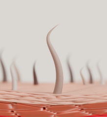 THE SCIENCE|Healthier hair starts at the root and at the cellular level 