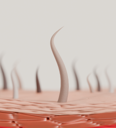 THE SCIENCE|Healthier hair starts at the root and at the cellular level 