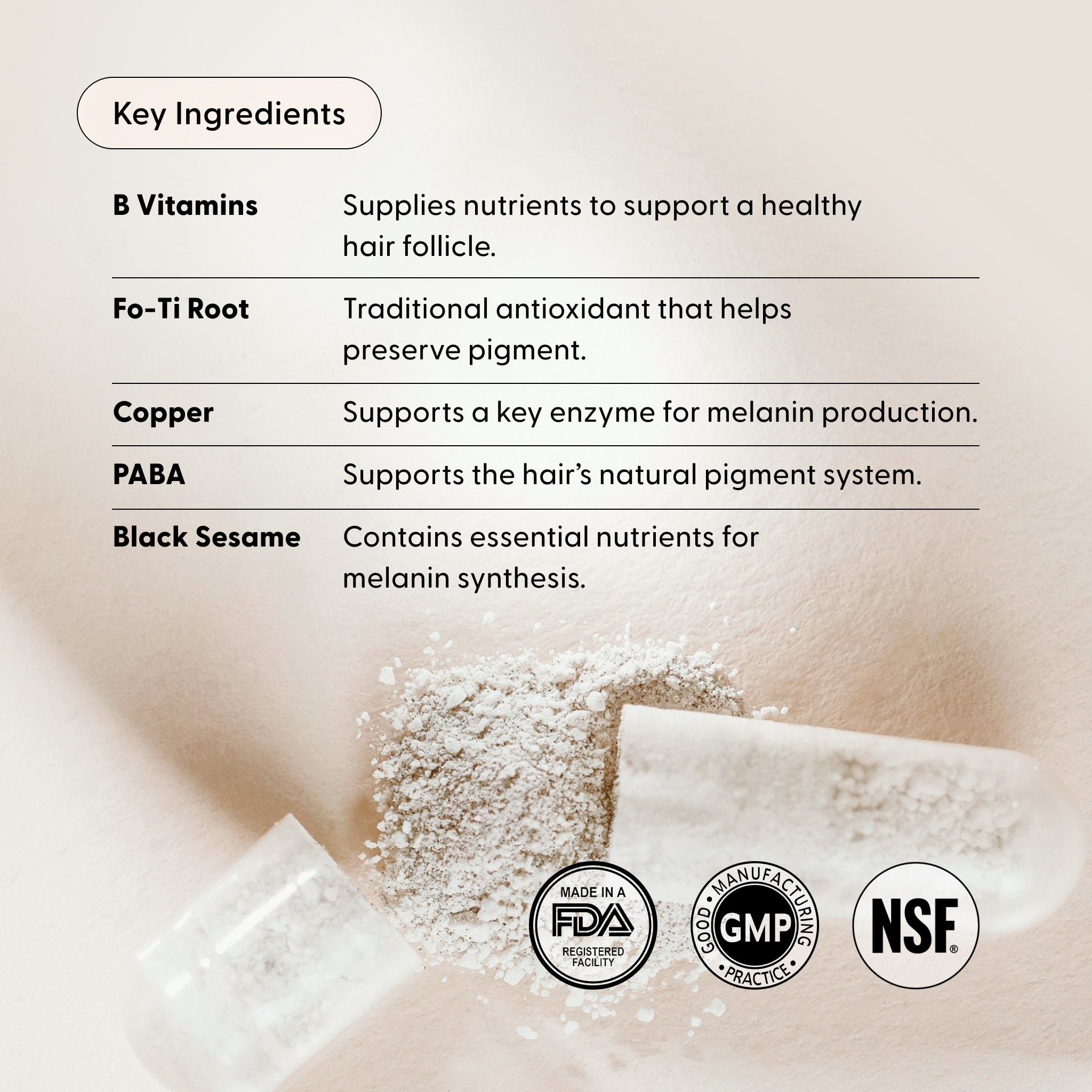 Arey Not Today, Grey™ powder supplement features key ingredients including B Vitamins, Fo-Ti Root, Copper, PABA, and Black Sesame. Specially designed to support hair repigmentation and promote thicker hair growth as a grey hair supplement. Three certification logos—FDA, GMP, and NSF—are displayed at the bottom.