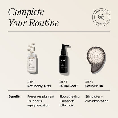 Three-step Arey haircare routine graphic. Badge: Trichologist Approved. Text: Complete Your Routine — Step 1: Not Today, Grey — Benefits: Preserves pigment + supports repigmentation. Step 2: To The Root® — Benefits: Slows greying + supports fuller hair. Step 3: Scalp Brush — Benefits: Stimulates + aids absorption.