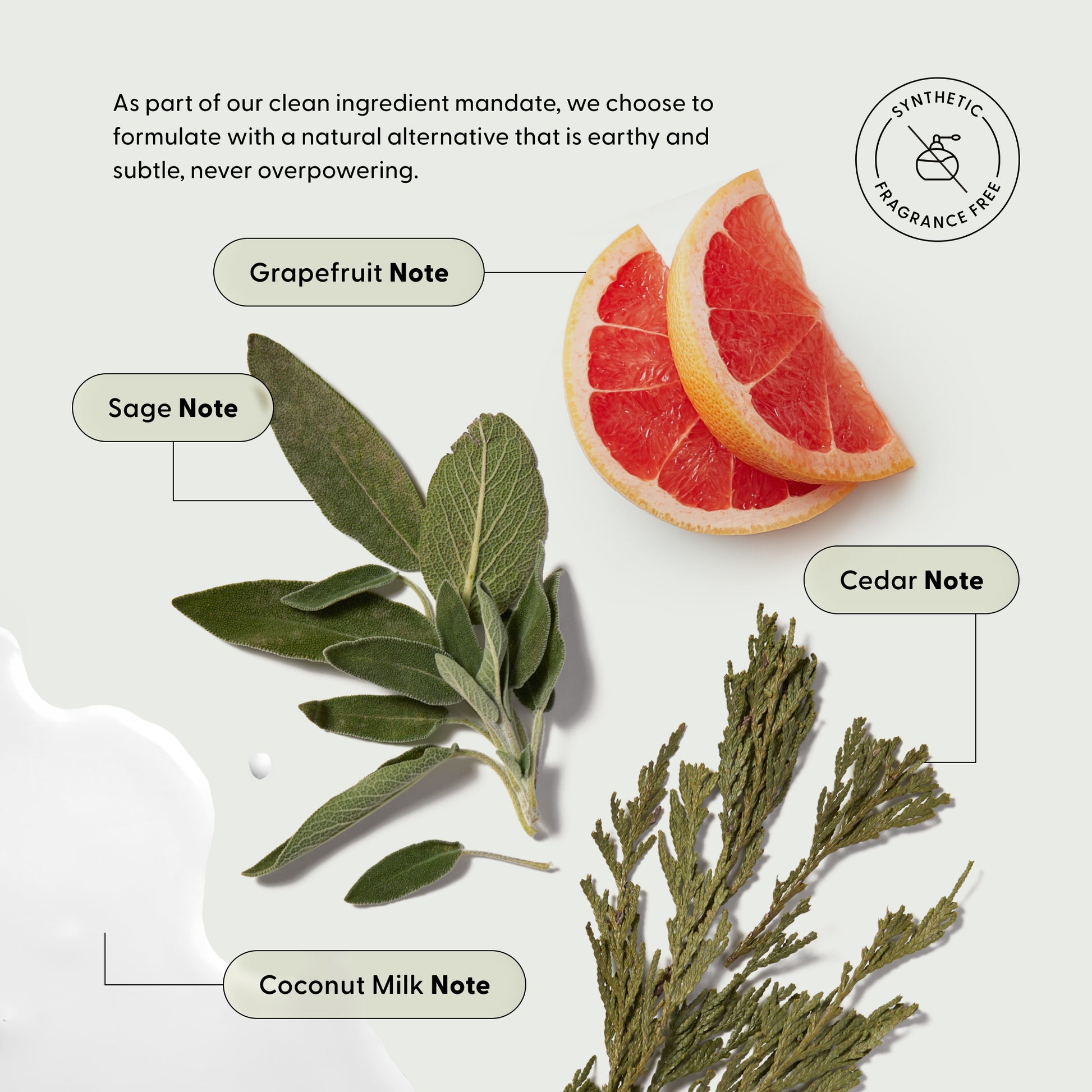Fragrance notes from natural alternatives: grapefruit, sage, cedar, coconut milk; synthetic-fragrance-free.