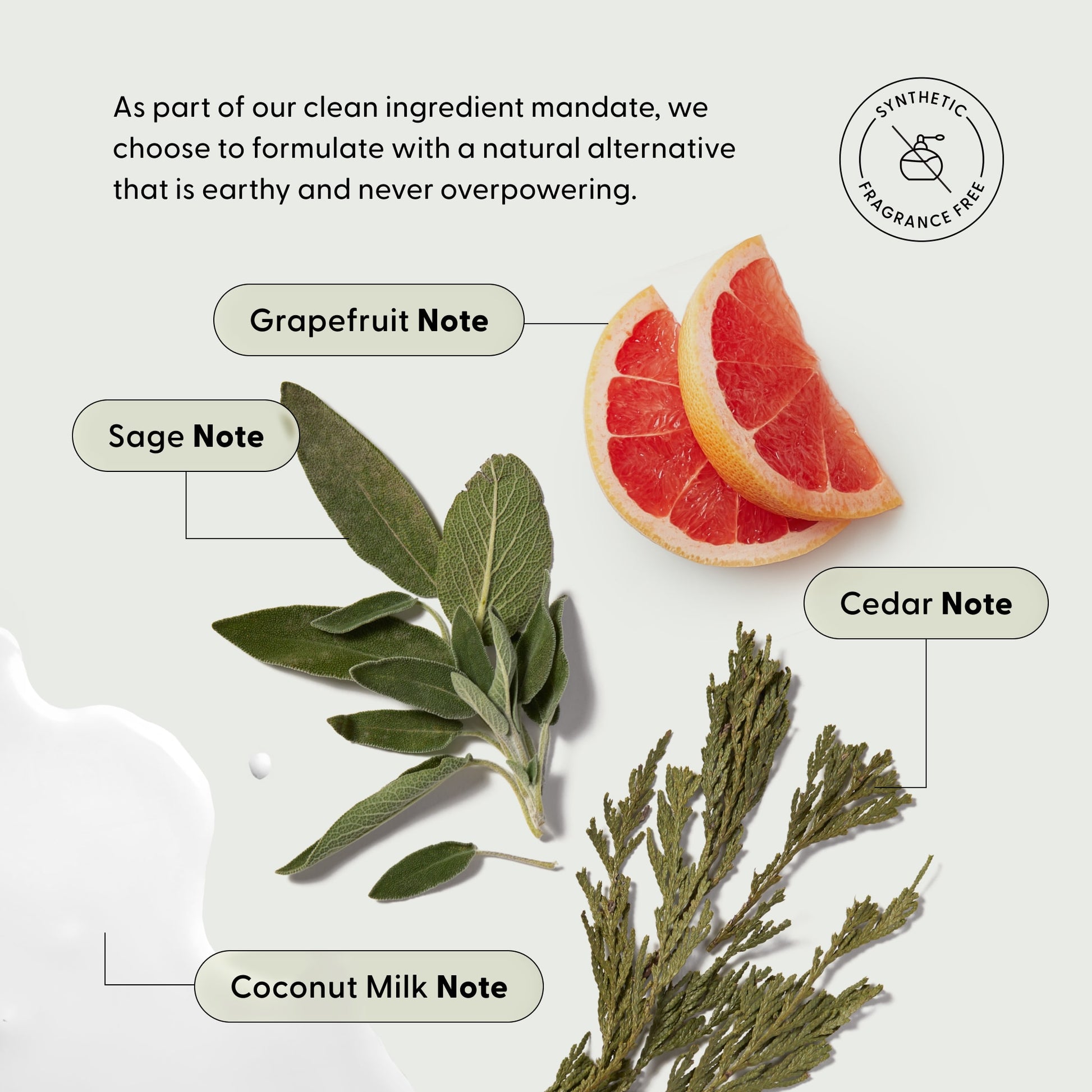 Grapefruit slices, sage leaves, cedar branches, and spilled coconut milk are labeled with text highlighting each note, promoting Arey’s Smooth Conditioner Refill—a nourishing hair repair formula made without synthetic fragrance.