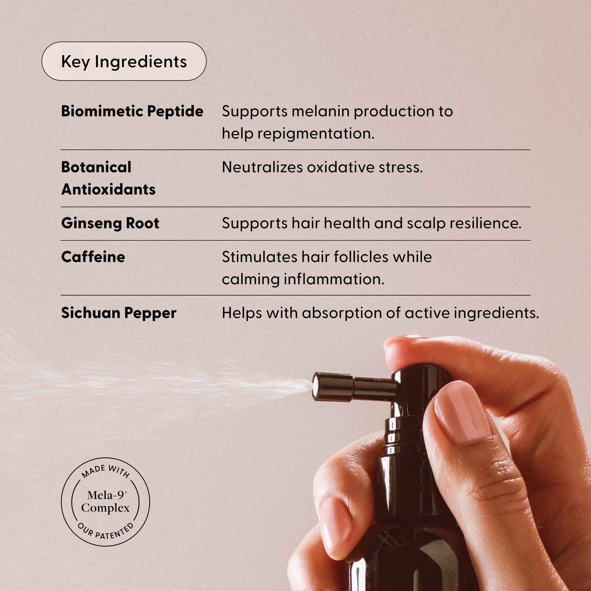 A hand sprays a black bottle of Arey To The Root® Scalp Serum. Text highlights key ingredients—biomimetic peptide, botanical antioxidants, ginseng root, caffeine, and Sichuan pepper—each expertly formulated to help repigment greys and revitalize aging hair, set against a pale beige background.