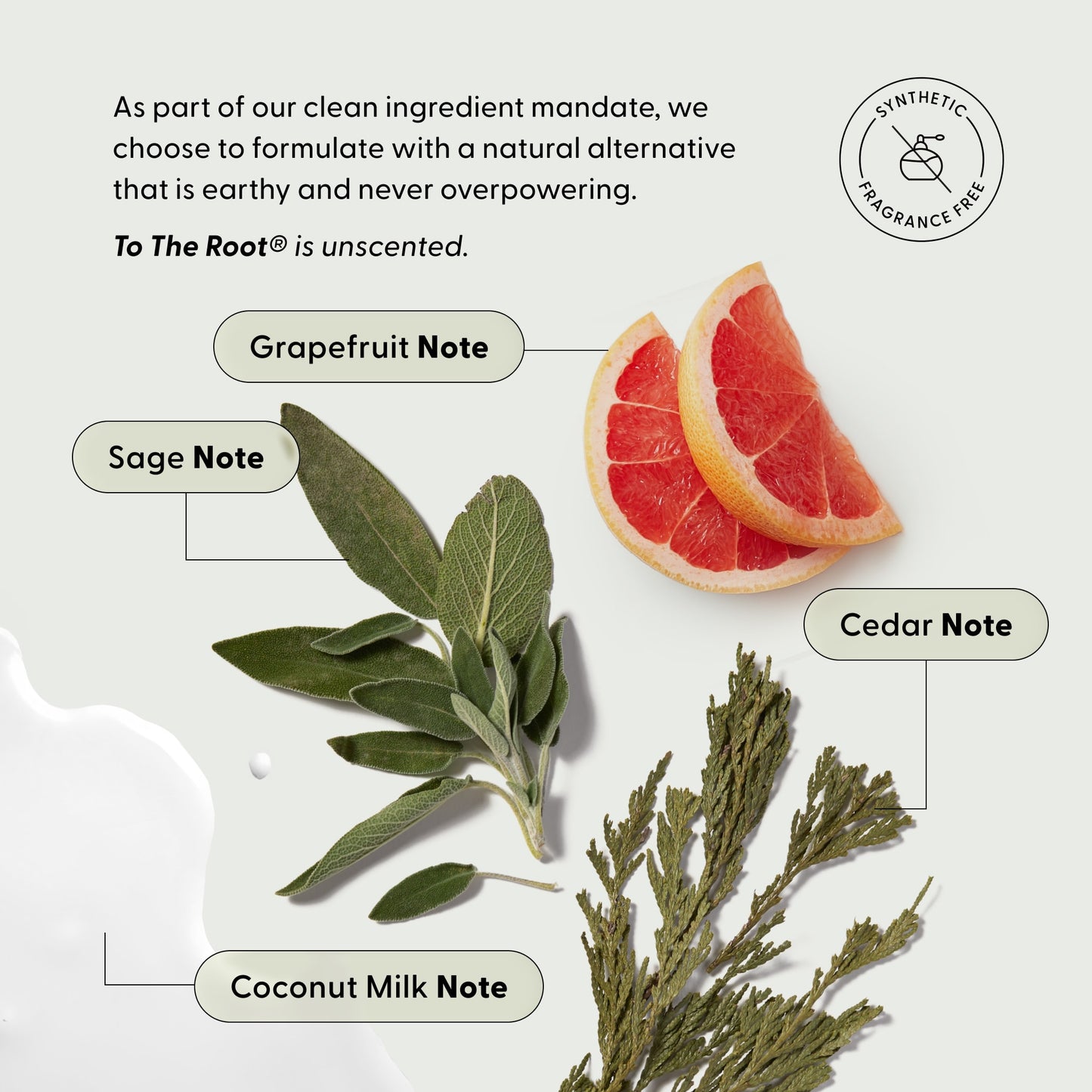 Slices of grapefruit, sage leaves, cedar sprigs, and a splash of coconut milk are shown, each ingredient clearly labeled. The text highlights that Arey’s The Restorative Kit is unscented and made with natural, clean ingredients—free from synthetic fragrance and carefully chosen to support repigmentation and encourage naturally thicker hair.