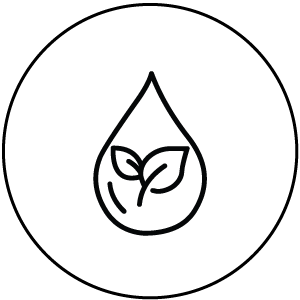 clean icon